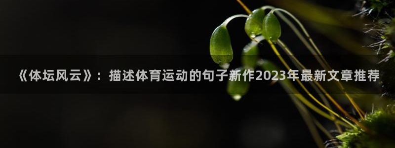 意昂2代理注册：《体坛风云》：描述体育运动的句子新作2023年最新文章推荐