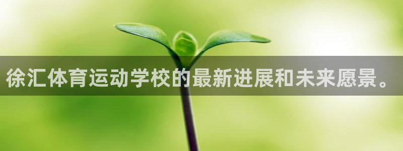 东莞市意昂电子科技有限公司：徐汇体育运动学校的最新进展和未来愿景。