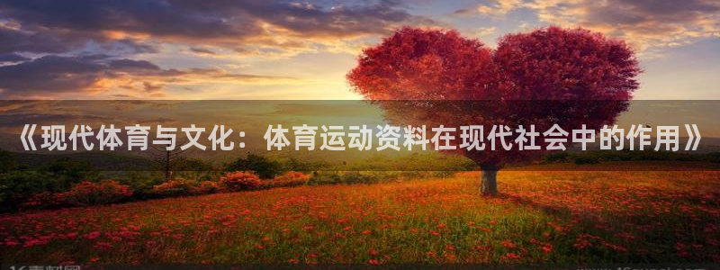 意昂2体育f开号：《现代体育与文化：体育运动资料在现代社会中的作用》