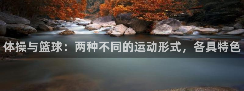意昂22平台：体操与篮球：两种不同的运动形式，各具特色