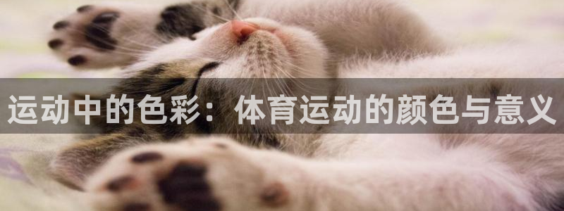 意昂2体育官网入口登录：运动中的色彩：体育运动的颜色与意义