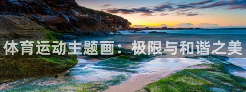 意昂的动画：体育运动主题画：极限与和谐之美