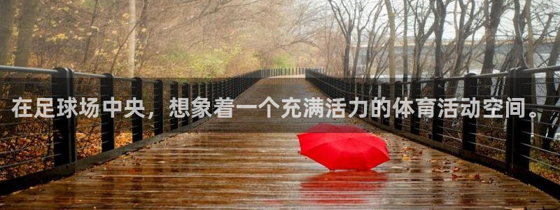 意昂23注册：在足球场中央，想象着一个充满活力的体育活动空间。