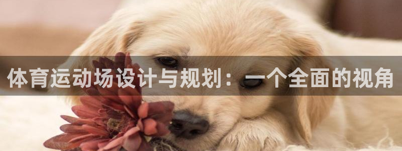 北京意昂科技有限公司：体育运动场设计与规划：一个全面的视角