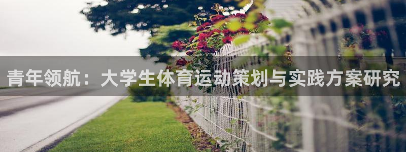 意昂2：青年领航：大学生体育运动策划与实践方案研究