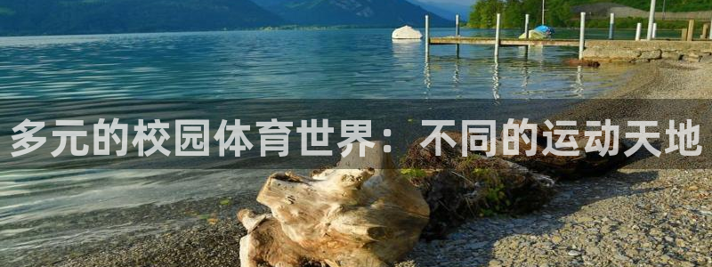 意昂2平台注册入口：多元的校园体育世界：不同的运动天地
