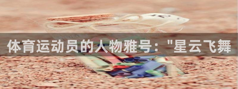 意昂2登录注册：体育运动员的人物雅号：\