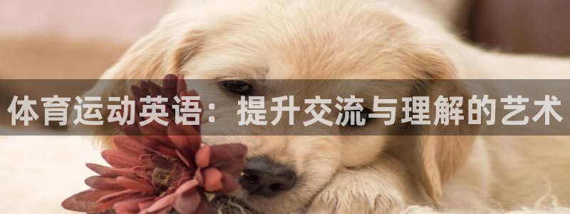 意昂2体育平台注册：体育运动英语：提升交流与理解的艺术