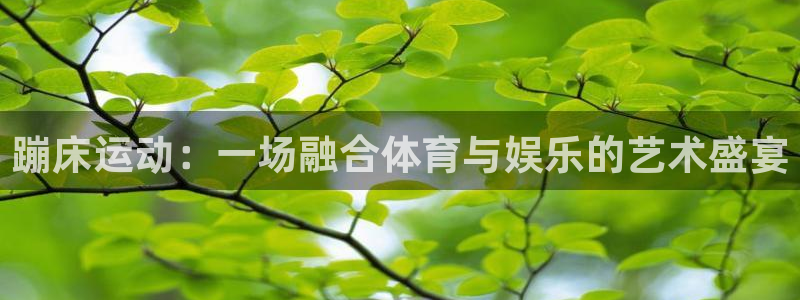 意昂平台登陆：蹦床运动：一场融合体育与娱乐的艺术盛宴
