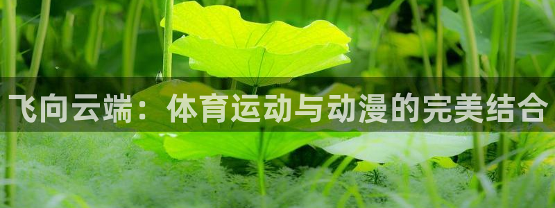 意昂2体育凯捷代理注册：飞向云端：体育运动与动漫的完美结合