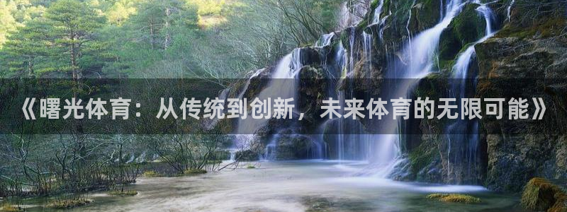 意昂25招商：《曙光体育：从传统到创新，未来体育的无限可能》