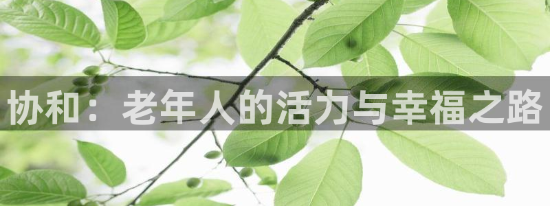 德国意昂集团：协和：老年人的活力与幸福之路