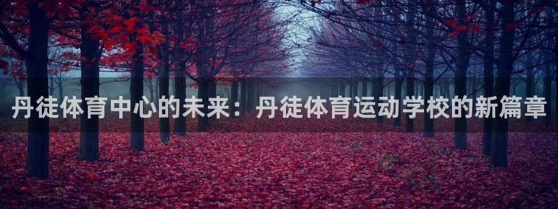 意昂2体育凯捷平台代理：丹徒体育中心的未来：丹徒体育运动学校的新篇章