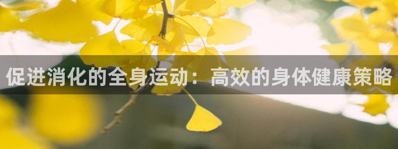 意昂体育官网登录：促进消化的全身运动：高效的身体健康策略