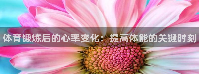 意昂23官网：体育锻炼后的心率变化：提高体能的关键时刻