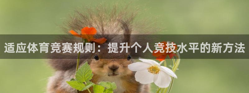 上海意昂2汽车电子有限公司：适应体育竞赛规则：提升个人竞技水平的新方法