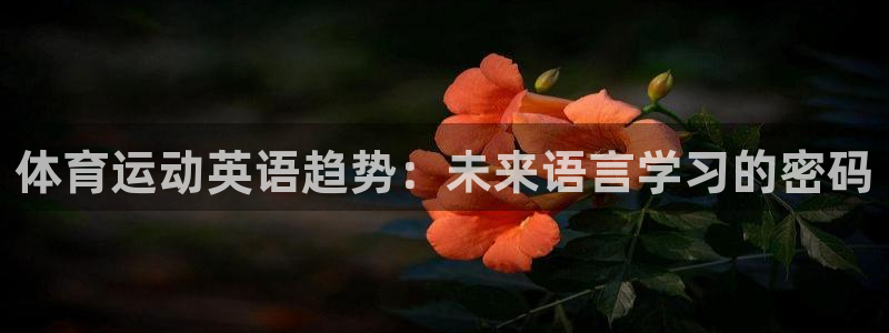 意昂2注册：体育运动英语趋势：未来语言学习的密码