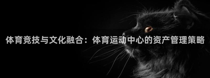 意昂官网：体育竞技与文化融合：体育运动中心的资产管理策略