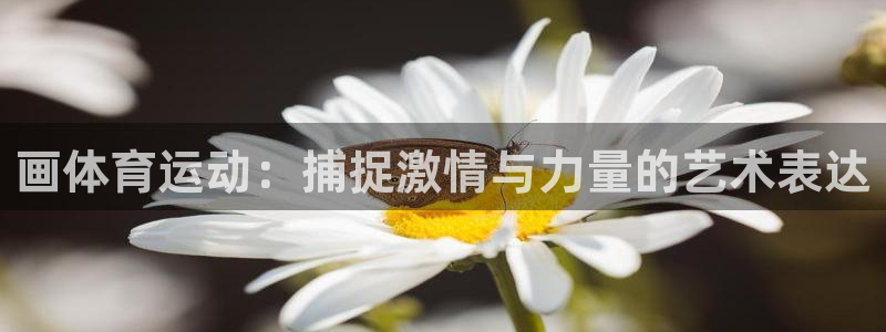 意昂平台：画体育运动：捕捉激情与力量的艺术表达